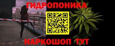 дмт Брянск